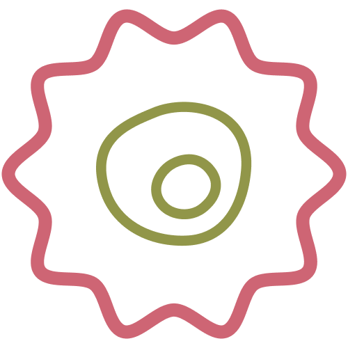 Macrophages